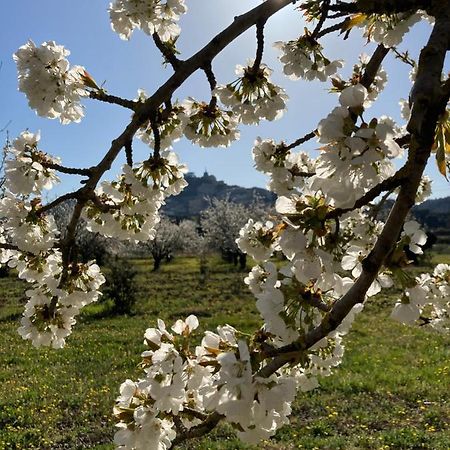 Rose Bed and Breakfast Bonnieux Εξωτερικό φωτογραφία