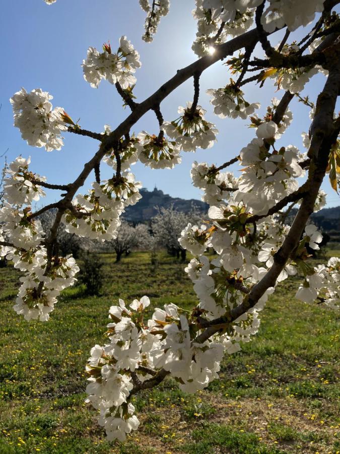 Rose Bed and Breakfast Bonnieux Εξωτερικό φωτογραφία